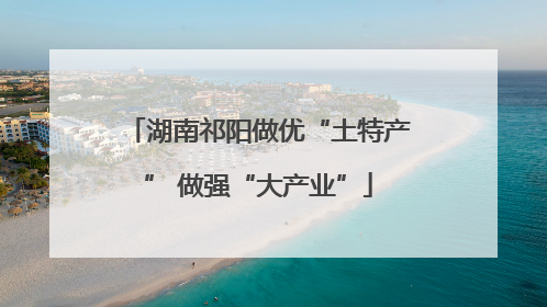 湖南祁阳做优“土特产” 做强“大产业”