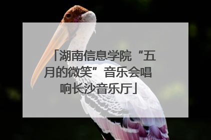 湖南信息学院“五月的微笑”音乐会唱响长沙音乐厅