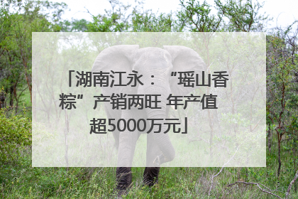 湖南江永：“瑶山香粽”产销两旺 年产值超5000万元