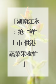 湖南江永：抢“鲜”上市 供港蔬菜采收忙