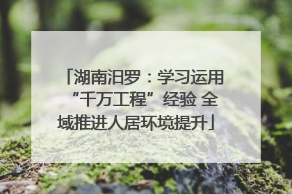 湖南汨罗：学习运用“千万工程”经验 全域推进人居环境提升