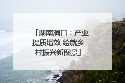 湖南洞口：产业提质增效 绘就乡村振兴新图景