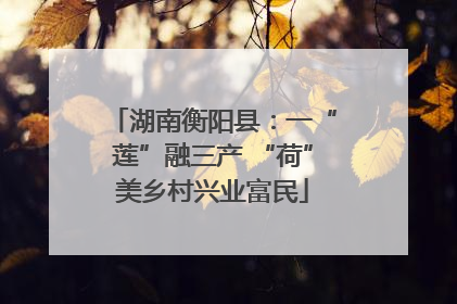 湖南衡阳县：一“莲”融三产 “荷”美乡村兴业富民