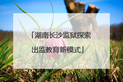 湖南长沙监狱探索出监教育新模式