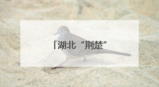 湖北“荆楚”人形机器人公司落户武昌