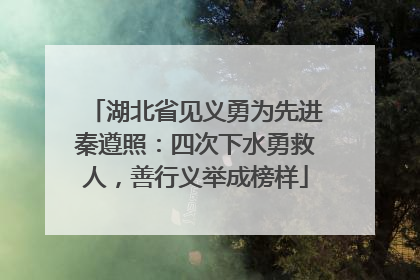 湖北省见义勇为先进秦遵照：四次下水勇救人，善行义举成榜样