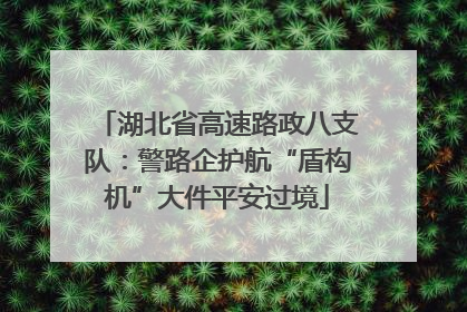 湖北省高速路政八支队：警路企护航“盾构机”大件平安过境
