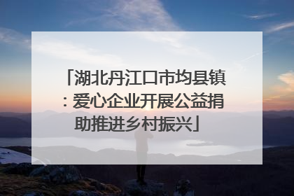 湖北丹江口市均县镇：爱心企业开展公益捐助推进乡村振兴
