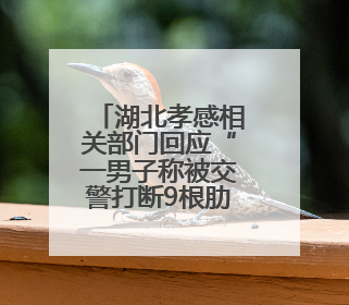 湖北孝感相关部门回应“一男子称被交警打断9根肋骨未立案”：已成立联合专班开展工作
