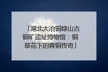 湖北大冶铜绿山古铜矿遗址博物馆：铜草花下的青铜传奇