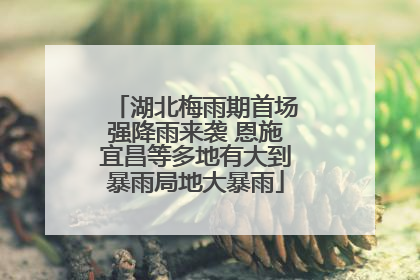 湖北梅雨期首场强降雨来袭 恩施宜昌等多地有大到暴雨局地大暴雨
