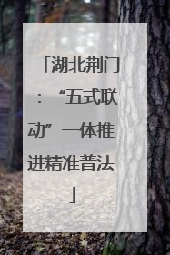 湖北荆门：“五式联动”一体推进精准普法