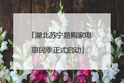 湖北苏宁易购家电惠民季正式启动