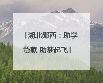 湖北郧西：助学贷款 助梦起飞