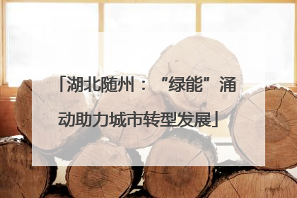 湖北随州：“绿能”涌动助力城市转型发展