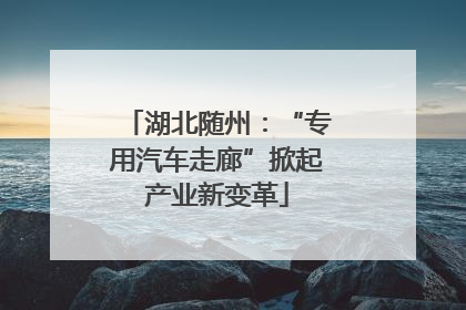湖北随州：“专用汽车走廊”掀起产业新变革