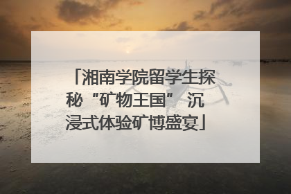 湘南学院留学生探秘“矿物王国” 沉浸式体验矿博盛宴