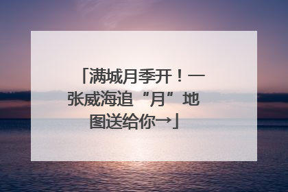 满城月季开！一张威海追“月”地图送给你→