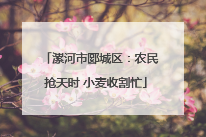 漯河市郾城区：农民抢天时 小麦收割忙