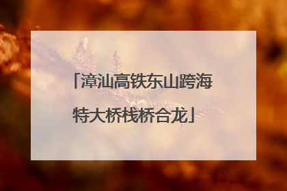 漳汕高铁东山跨海特大桥栈桥合龙