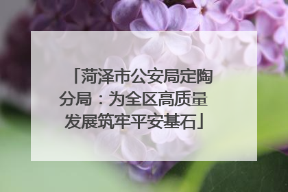 菏泽市公安局定陶分局：为全区高质量发展筑牢平安基石