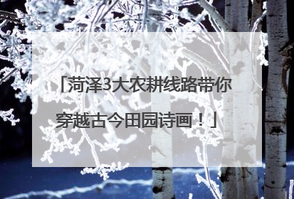 菏泽3大农耕线路带你穿越古今田园诗画！