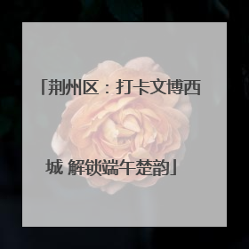 荆州区：打卡文博西城 解锁端午楚韵