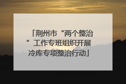 荆州市“两个整治”工作专班组织开展冷库专项整治行动