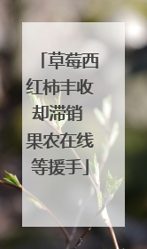 草莓西红柿丰收却滞销 果农在线等援手
