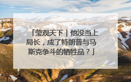 莹观天下｜他没当上局长，成了特朗普与马斯克争斗的牺牲品？
