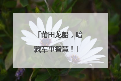 莆田龙船，暗藏军事智慧！