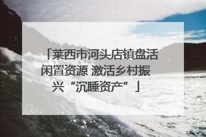 莱西市河头店镇盘活闲置资源 激活乡村振兴“沉睡资产”