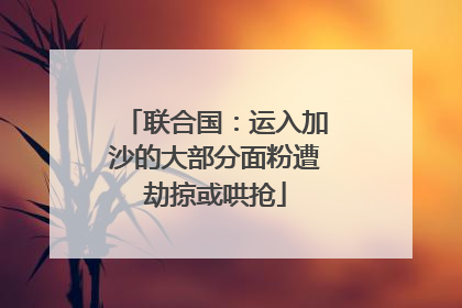 联合国：运入加沙的大部分面粉遭劫掠或哄抢