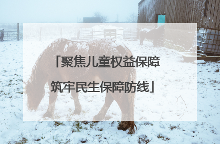 聚焦儿童权益保障 筑牢民生保障防线