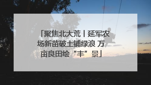 聚焦北大荒丨延军农场新苗破土铺绿浪 万亩良田绘“丰”景