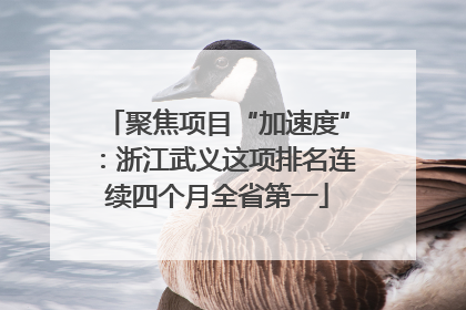 聚焦项目“加速度”：浙江武义这项排名连续四个月全省第一