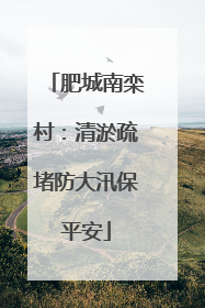 肥城南栾村：清淤疏堵防大汛保平安
