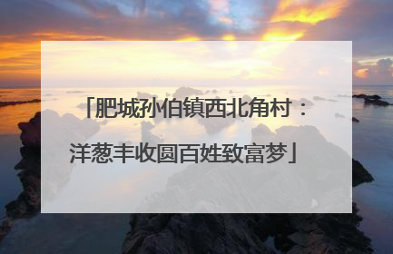 肥城孙伯镇西北角村：洋葱丰收圆百姓致富梦