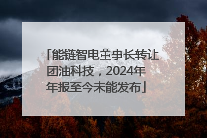 能链智电董事长转让团油科技，2024年年报至今未能发布