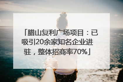 腊山复利广场项目：已吸引20余家知名企业进驻，整体招商率70%