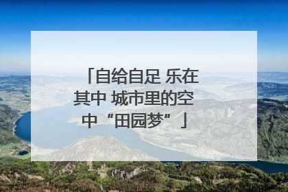 自给自足 乐在其中 城市里的空中“田园梦”