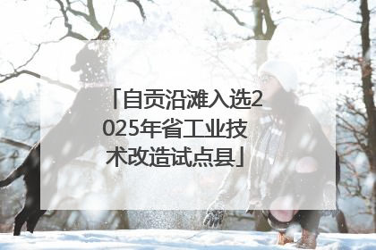 自贡沿滩入选2025年省工业技术改造试点县
