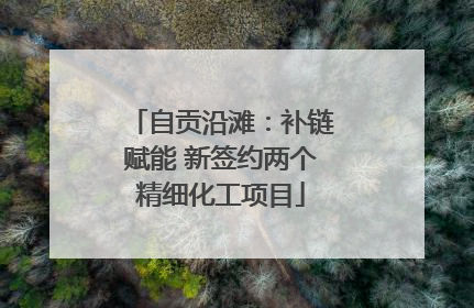 自贡沿滩：补链赋能 新签约两个精细化工项目