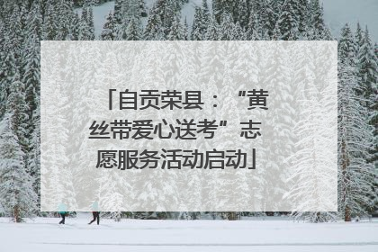 自贡荣县：“黄丝带爱心送考”志愿服务活动启动