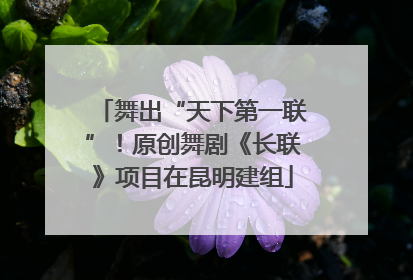 舞出“天下第一联”！原创舞剧《长联》项目在昆明建组