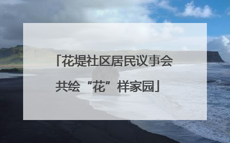 花堤社区居民议事会共绘“花”样家园