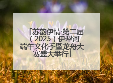 苏韵伊情·第二届（2025）伊犁河端午文化季暨龙舟大赛盛大举行