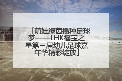 萌娃绿茵播种足球梦——LHK福宝之星第三届幼儿足球嘉年华精彩绽放