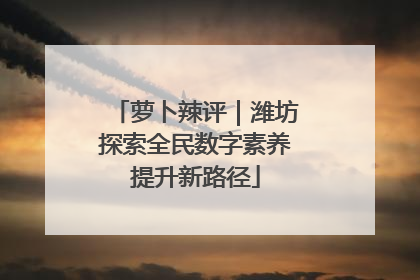 萝卜辣评｜潍坊探索全民数字素养提升新路径