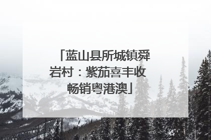 蓝山县所城镇舜岩村：紫茄喜丰收 畅销粤港澳